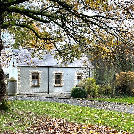 Country Garden House Holiday Homes Ballymoney Bagian luar foto
